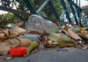 Tehuacán gasta 44 mdp para que Ciudad Serdán reciba su basura