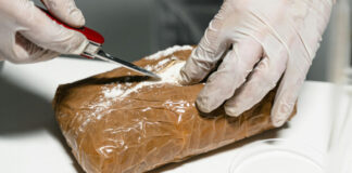 Repuntan decomisos de cocaína y metanfetaminas en frontera México-EU