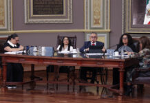 Aprueban Ley de Voluntad Anticipada para garantizar muerte digna