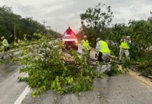 Reportan saldo blanco tras el paso de “Beryl” en el Caribe mexicano