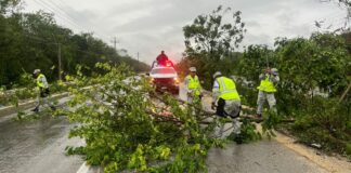 Reportan saldo blanco tras el paso de “Beryl” en el Caribe mexicano