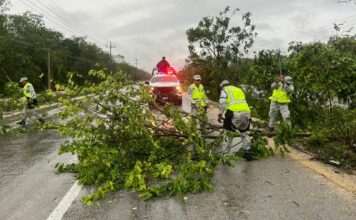 Reportan saldo blanco tras el paso de “Beryl” en el Caribe mexicano