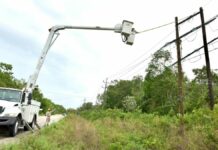 CFE restablece el servicio eléctrico a usuarios afectados por “Beryl”