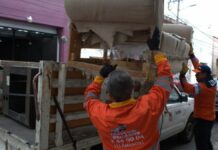 Van más de 900 servicios gratuitos de descacharrización durante el 2024