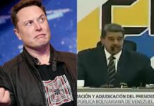 Un insulto al mundo animal comparar al burro con Maduro: Elon Musk