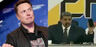 Un insulto al mundo animal comparar al burro con Maduro: Elon Musk