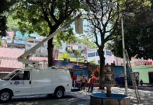 Plan Castor: la estrategia de PC Atlixco para revisar estado de árboles