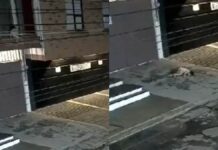 Captan caída de niño desde un balcón en Puebla
