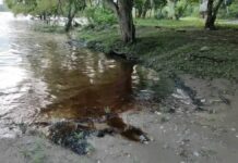 Controlan fuga de combustible en el río San Marcos