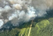 Incendio forestal destruye la localidad de Jasper en Canadá