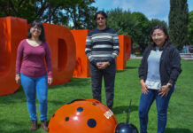Estudiantes UDLAP participarán en curso de programación en Italia