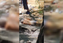 Hallan sin vida a joven reportado como desaparecido en río Nexapa