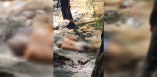 Hallan sin vida a joven reportado como desaparecido en río Nexapa