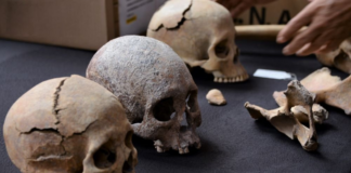 Hallan restos humanos prehispánicos en el AIFA