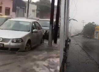 Lluvias provocan inundaciones, caos vial y caída de un árbol en Puebla capital
