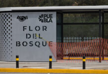 Invierten 631 mdp en fases 1 y 2 de línea 4 de RUTA