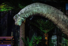 Roban dinosaurio mecánico de exhibición en CDMX