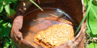 Salud registra 12 nuevos casos de dengue en el estado