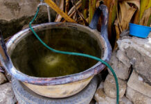 Salud reporta 22 nuevos contagios por dengue en Puebla