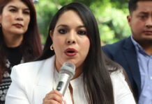 Tonantzin Fernández teme por su vida; responsabiliza a Roxana Luna
