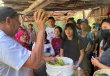 Distinguen a la BUAP por Licenciatura en Gestión Territorial