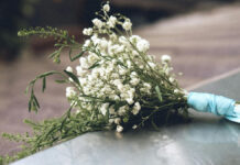 En Puebla, casi 250 personas han intentado suicidarse en 2024