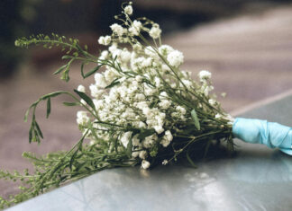 México, tercer país con más defensores del medio ambiente asesinados