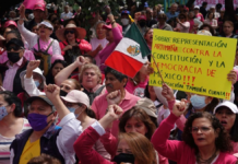 Marea Rosa se manifiesta en contra de sobrerrepresentación de Morena y aliados