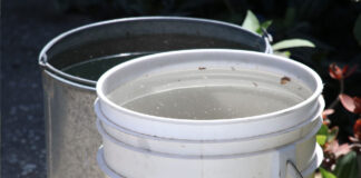 Puebla acumula más de mil 400 casos de dengue