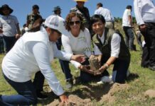Se unen esfuerzos para reforestar el humedal de Valsequillo
