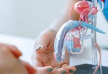 Cofepris autoriza molécula nueva para tratar cáncer de próstata