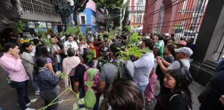 Sembremos Esperanza entrega más de mil árboles en Centro Histórico