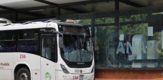Línea 2 del RUTA renovará su parque vehicular durante 2025