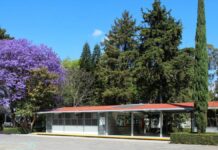 BINE inicia clases a distancia por colocación de domo