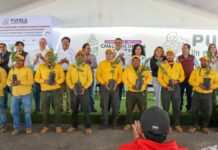 Entrega Sergio Salomón 12 mil plantas de ocote y pinto triste en Atzitzihuacan