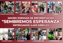 Puebla sostenible con nueva macro jornada de reforestación “Sembremos Esperanza”