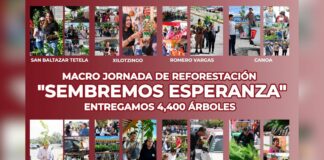 Puebla sostenible con nueva macro jornada de reforestación “Sembremos Esperanza”