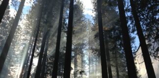 Tras seis horas, hallan a ciclista extraviado en zona boscosa de Moxolahuac