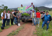 Se unen 15 municipios a jornada de reforestación “Sembremos Esperanza”