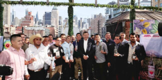 Armenta dará continuidad al impulso del agave mezcalero en Puebla