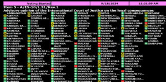 Asamblea General de la ONU exige a Israel salir de Palestina