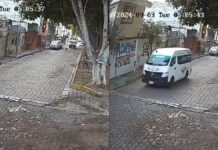 Chofer de transporte público atropella a perro en Tehuacán