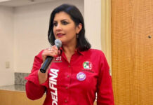 Delfina Pozos lamenta sobrerrepresentación de Morena en Congreso