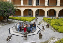 Estudiantes IBERO Puebla concientizan sobre la vida política de los árboles