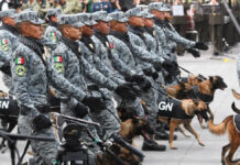 Cámara de Diputados aprueba incorporación de Guardia Nacional a Sedena