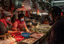 COVID-19 surgió en un mercado de pescados en China, revela estudio