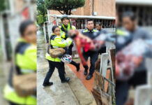 Policías municipales salvan vida de hombre apuñalado en el cuello