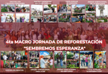 Por Amor a Puebla realiza Macro Jornada de reforestación