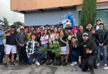 Realizan octava jornada de reforestación ‘Sembremos Esperanza’