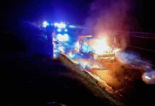 Vehículo se incendia en la autopista México-Puebla